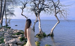 无码乱人伦一区二区亚洲